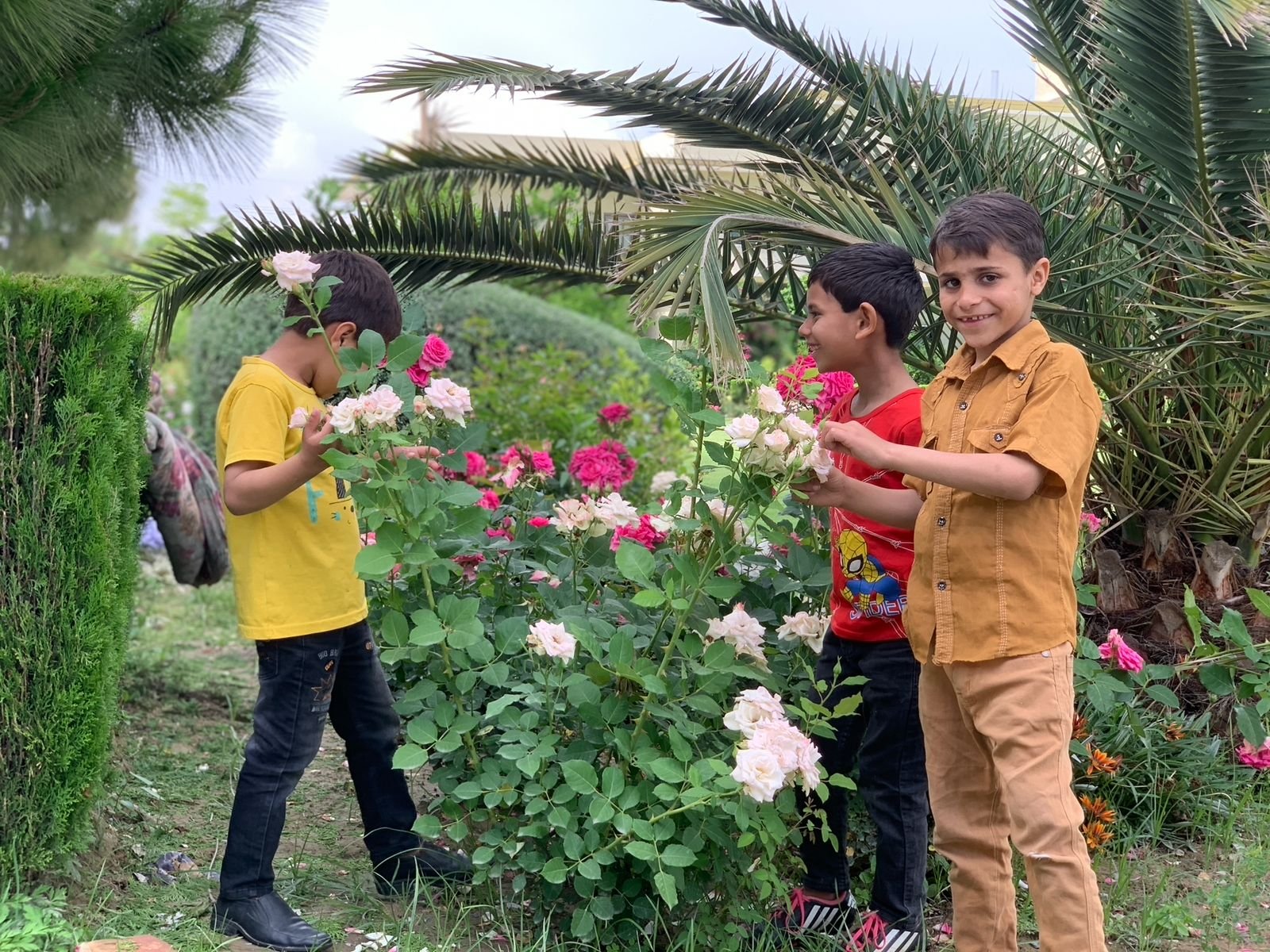 Orphan Boys playing in a colorful flower garden, enjoying nature together.