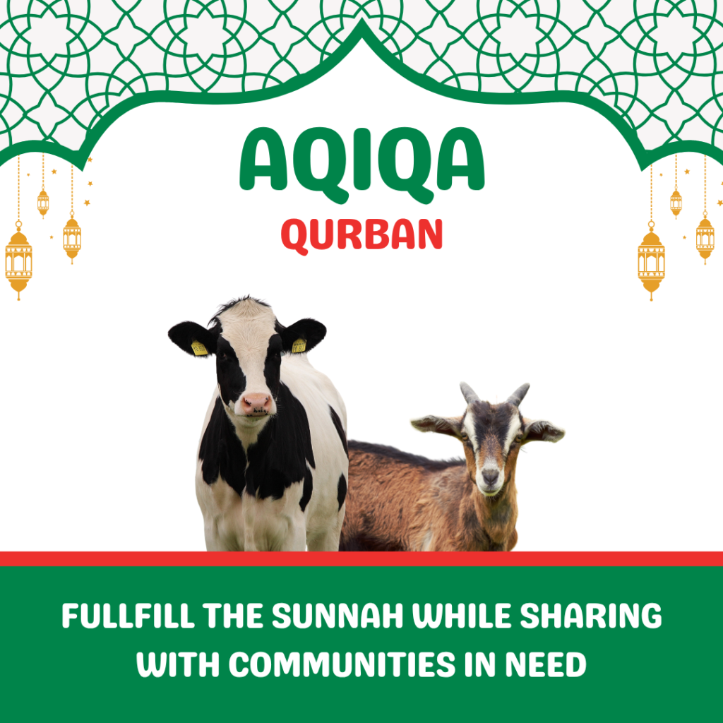 Aqiqa Qurban banner