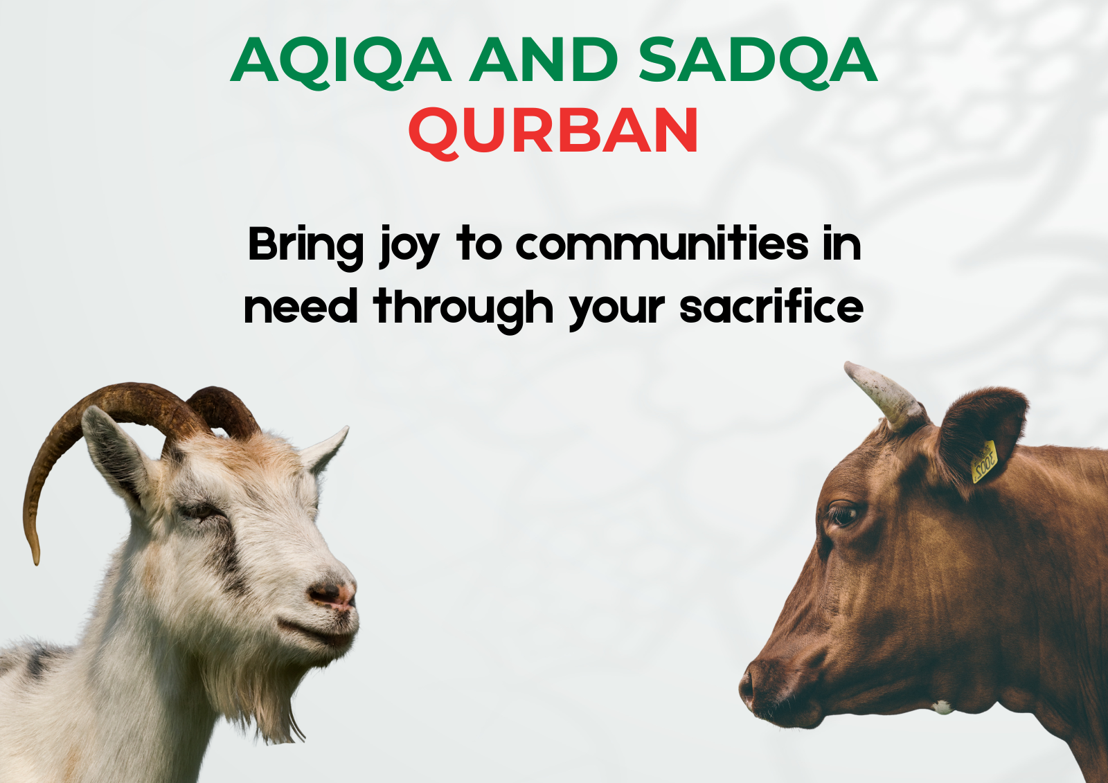 aqiqa and sadqa mobile banner