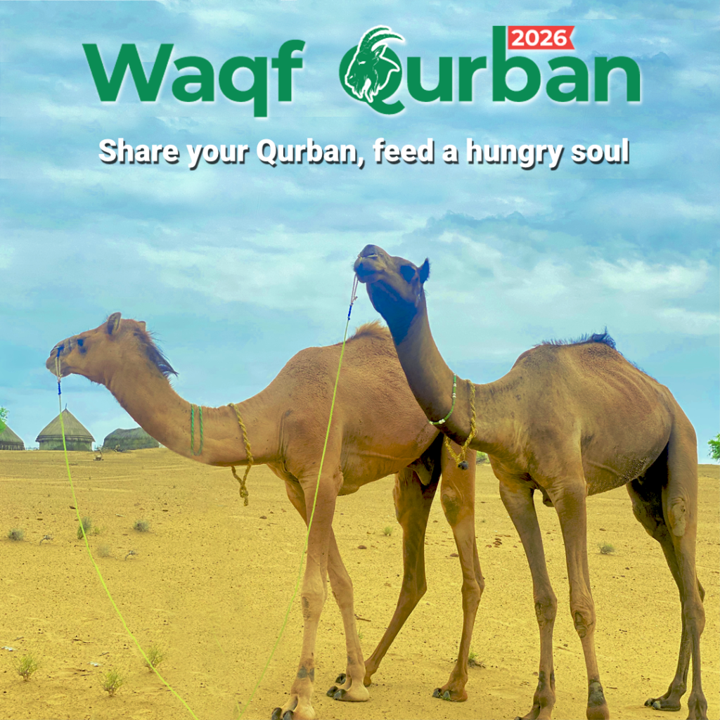 Camel Qurban 2026 by Khubaib Foundation