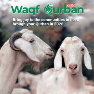 Goat Qurban 2026 by Khubaib Foundation